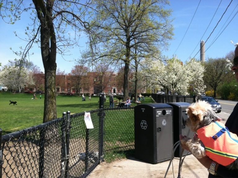 BrooklineAVE 768x574