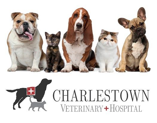 CharlestownHospital
