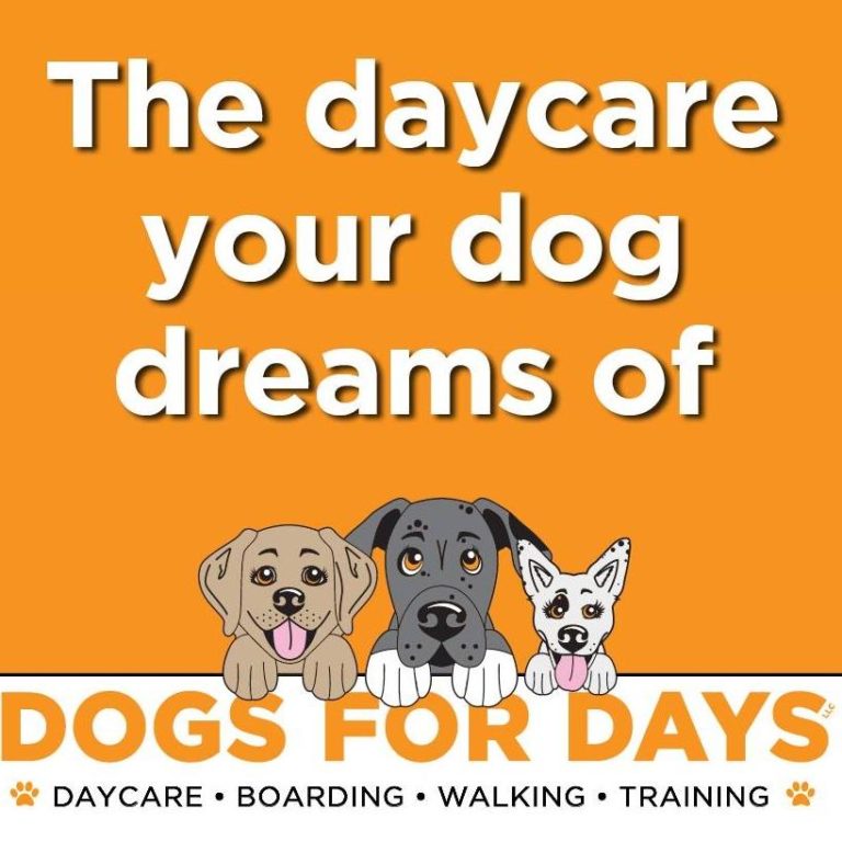 DogsforDays 768x768