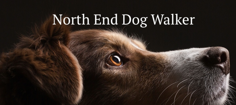 NorthEndDogWalker 768x343