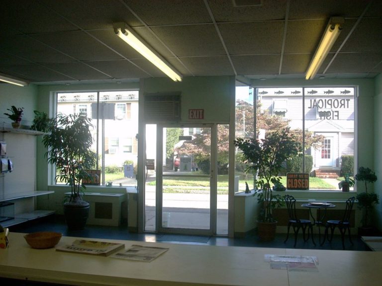 Sandyspetgroomer 768x576