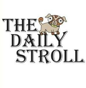 TheDailyStroll