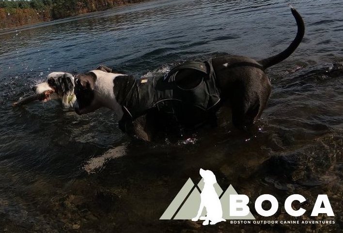 adventure