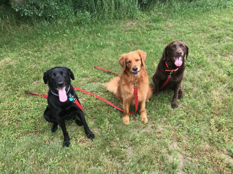 asAStratraining 768x576