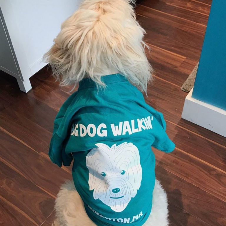 bigdogWalkin 768x768