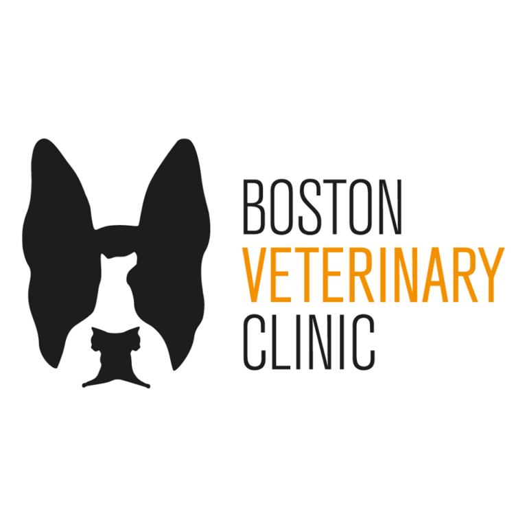 bostonveterinaryclinic 768x768