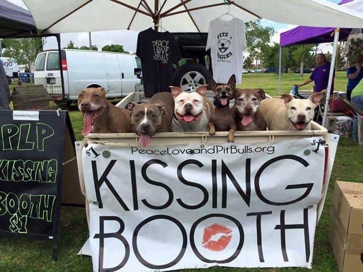 bremenstreetdogpark
