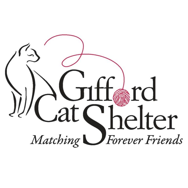 catshelter 768x768