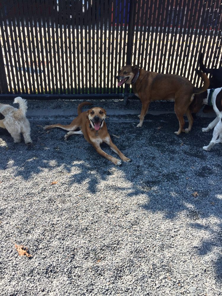 channelcenterdogpark