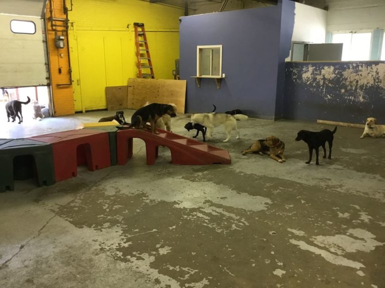 daycarequincy 768x576