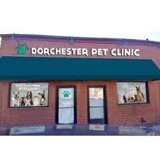 dorchesterPetClinic