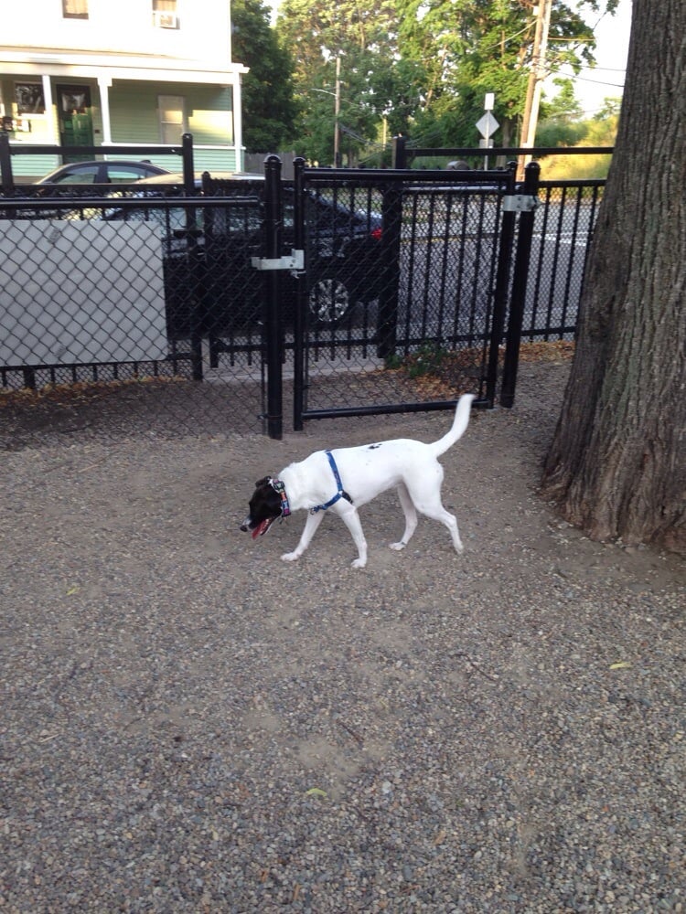 mansfieldstreetdogpark