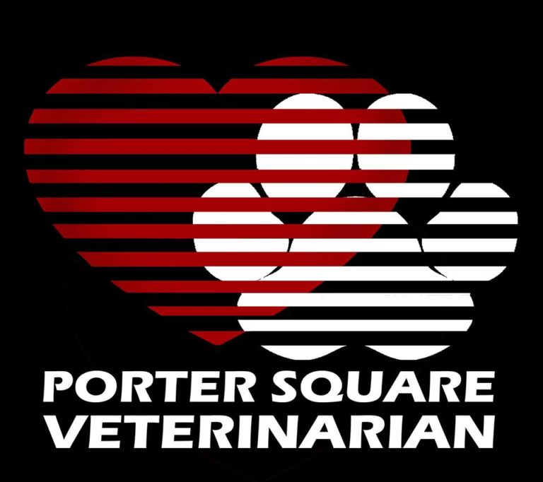 portersquarevet 768x682