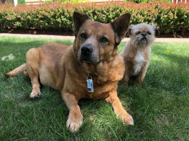 saygoobyathome 768x576