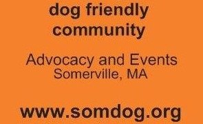 somdog 1