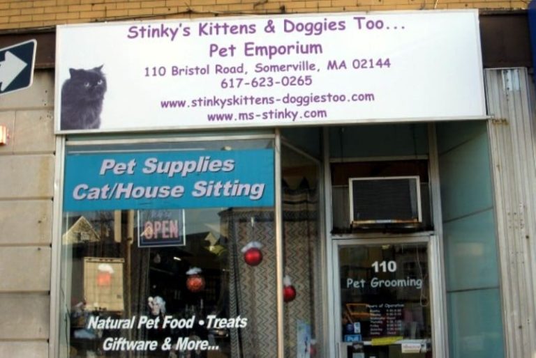 stinkysKittensDoggies 768x514