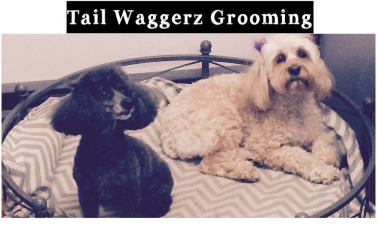 tailwaggerz 768x512
