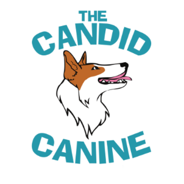 thecandidcanine 768x768
