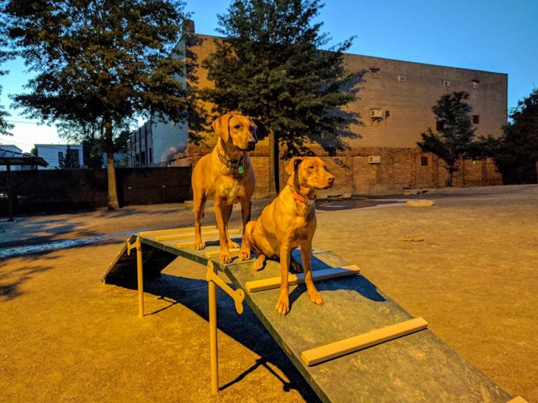 turdorstreetdogpark 768x576