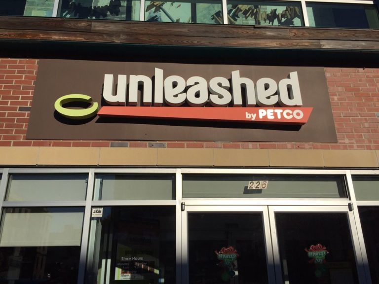 unleashed 768x576