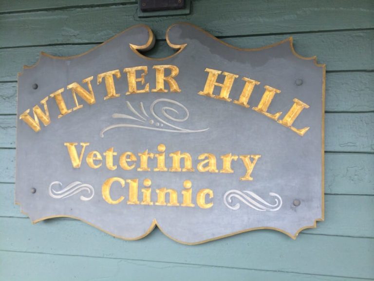 winterhill 768x576