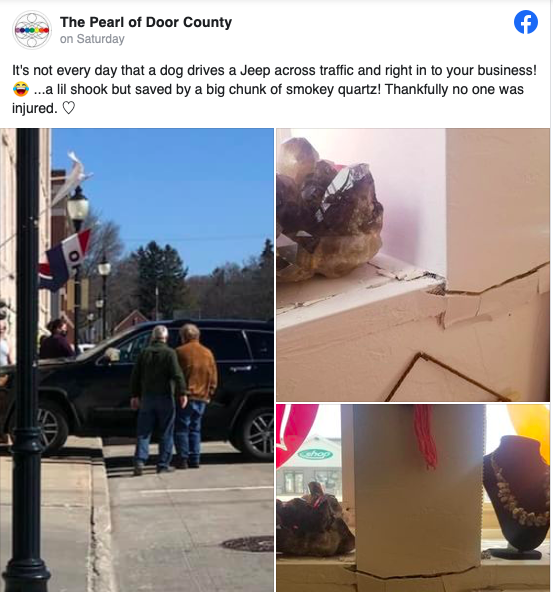 Dog driver in Wisconsin