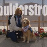 Dogs bring comfort to Colorado shooting memorial