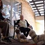 A request to pet a dog leads to an outpouring of support, new friends for 81-year-old Dallas woman