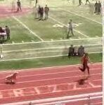 Dog Escapes Owners To Run 100m In 10.5 Seconds.