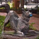 Statue of Chaser, the world's smartest dog, unveiled in Spartanburg's Morgan Square.