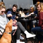 Alabama’s new dog dining law serves up the right recipe for the family pet.