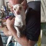 Valley man discovers dogs in trash bag by Walmart dumpster.