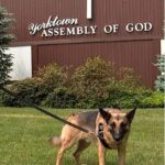 Dog credited for saving burning church in Westchester County.