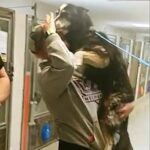 Heartwarming moment a lost dog is reunited with her Georgia owner .