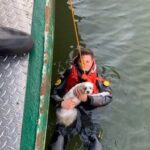 Man rescued after jumping into Hudson River to save his dog.