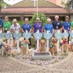 Comfort dogs from several states arrive in South Florida to help Surfside rescue workers.