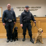 COVID-Sniffing Police K-9s In Bristol County Are First In Country.