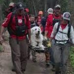 Colorado rescue teams responding to high number of dog-related calls.