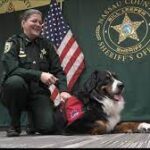 New Nassau County Sheriff's Office comfort dog puts his best paw forward.