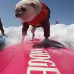 24th Annual Incredible Dog Challenge And Surfing Competition Held In Huntington Beach.