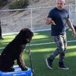 Cesar Millan Is Back With a New Dog Training Show to Help Pandemic Pets and Their Owners.