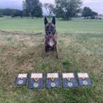 LMPD K9 officers take home gold in K9 Olympics.