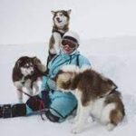 Northern artist's sled dog film makes Cannes Short Film Festival.