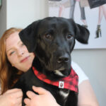 Chicago Festival Denies Entry to Service Dog, Woman With PTSD.