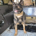 Border Patrol K9 helps agents make a $600K+ cocaine bust at the Highway 86 checkpoint.