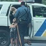 NJ State Trooper Helps Boy Chasing His Dogs on Garden State Parkway.