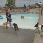 Water World Marks End Of Season With Doggie ‘Beach’ Day.