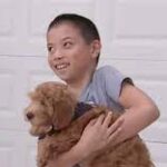 Las Vegas 8-year-old boy with birth defect gifted puppy with tiny ear.