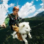 Cute dog’s paragliding journey over French slopes goes viral.