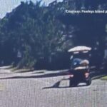 SC island police warn golf cart drivers after dog is dragged from vehicle.